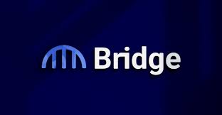 Bridge Network logo